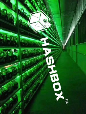 A large-scale mining farm, showcasing the density and infrastructure required for industrial-level crypto mining operations.
