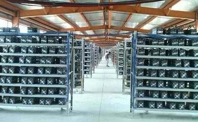 A bustling mining farm highlighting the scale of operations